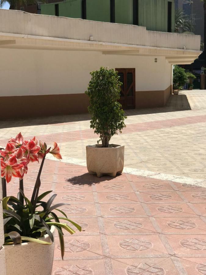 Apartamentos Provima Benidorm Kültér fotó